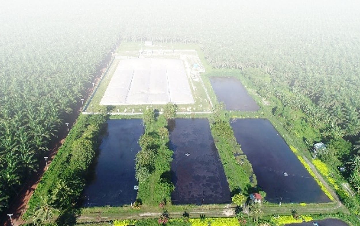 Anaerobic digestion lagoon_biogas