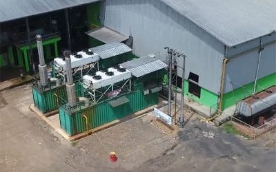 Biogas Production in Indonesia