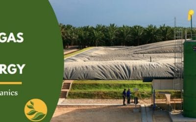 Biogas as a Fuel Source