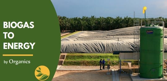 Biogas as a Fuel Source