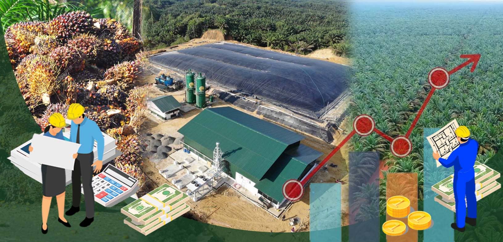 financial analysis of Biogas