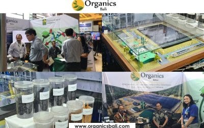 Antusiasme Biogas & Pirolisis Ramaikan Booth Organics Bali di TPOMI 2024