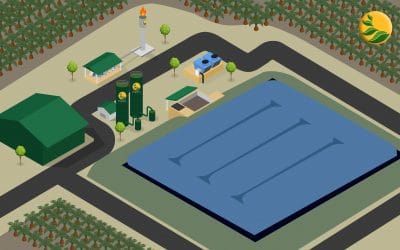 Process of Biogas to Power : Anaerobic Digester Efficiency in Managing POME