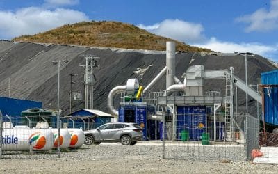 Monetising Waste Residues: Biochar Production in the Palm Oil Sector