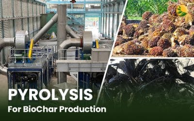 Biochar and Pyrolysis: Environmental Impact, Technology, and Production Method