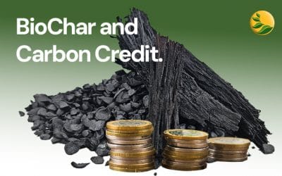 Membuka Potensi Biochar untuk Carbon Credit Indonesia