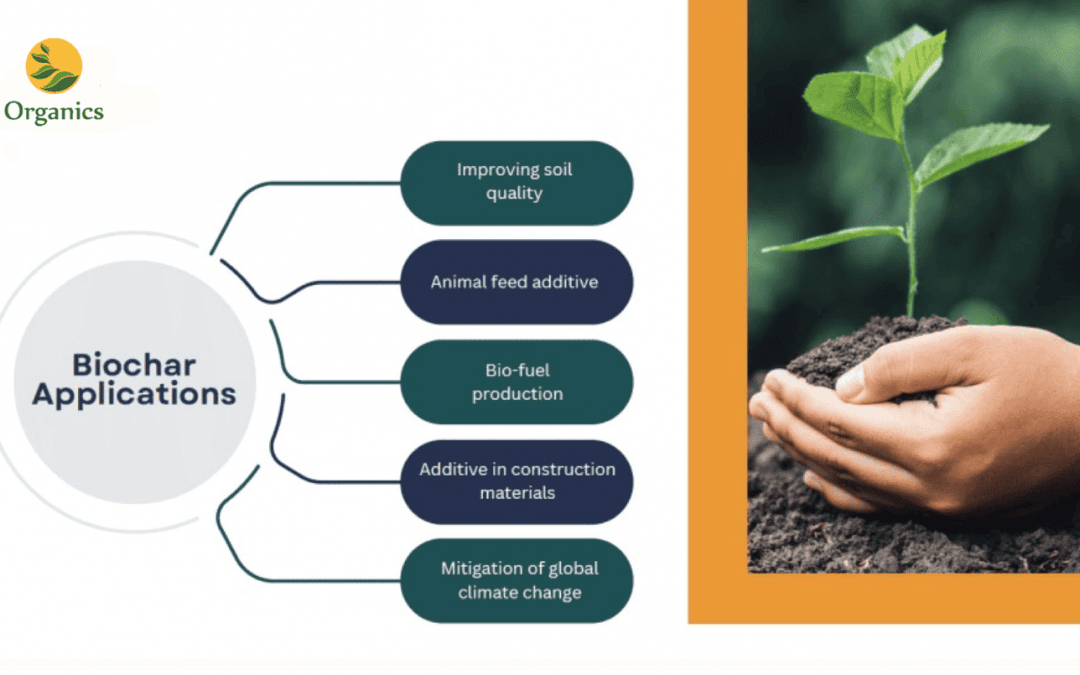 Benefits of Biochar: A Multifaceted Approach to Carbon Dioxide Removal (CDR) Through Biomass Pyrolysis and Carbon Sequestration
